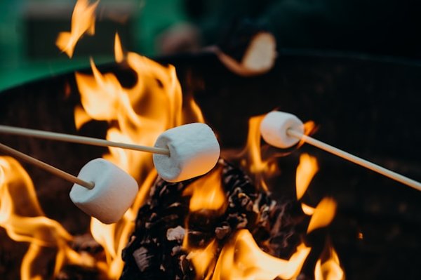 Luxe et nature dans un camping 5 étoiles en Aveyron